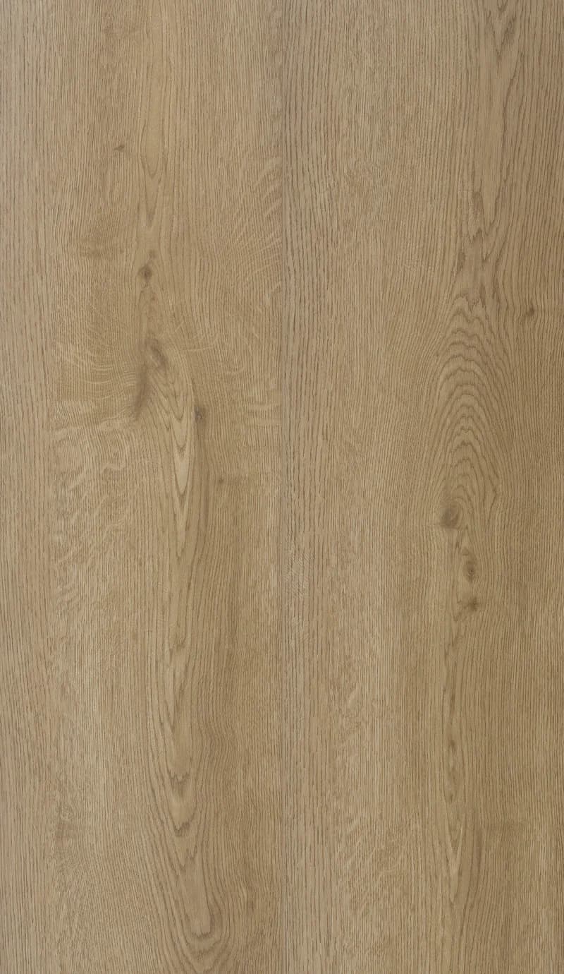 Munster Oak 53